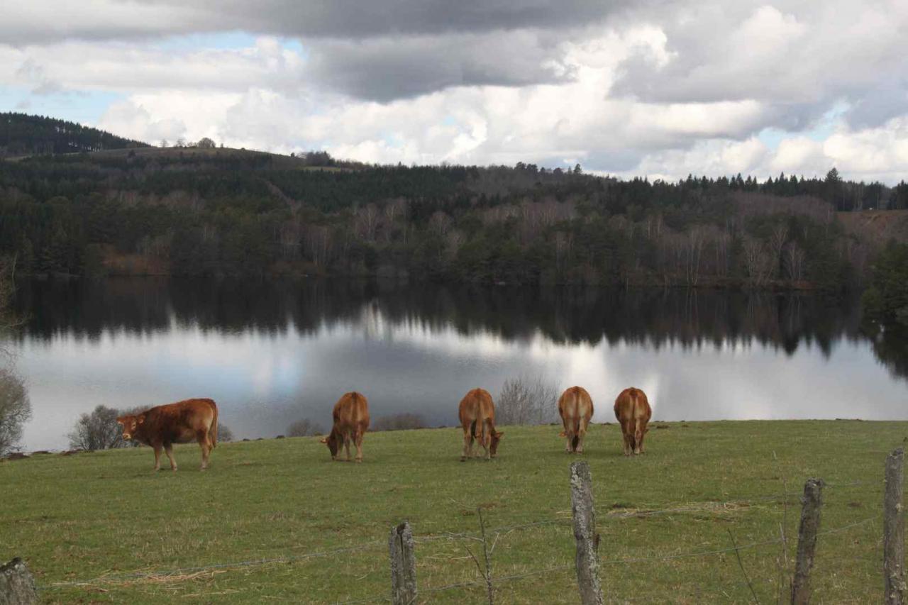 Le Chamet en Creuse