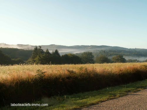 petit matin d'été de Millevaches