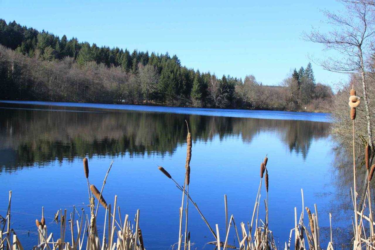 Faux-La-Montagne en Creuse