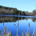 Faux-La-Montagne en Creuse