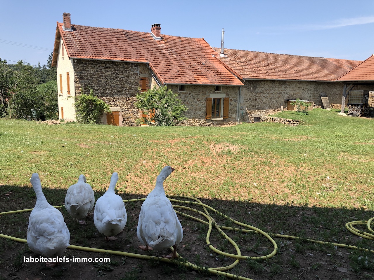 Vendue ! une ferme 5 ha