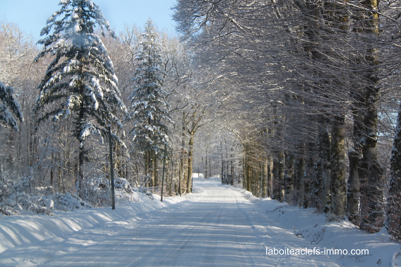 millevaches en hiver