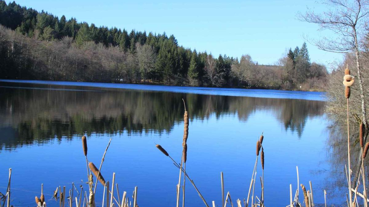 lac de Faux