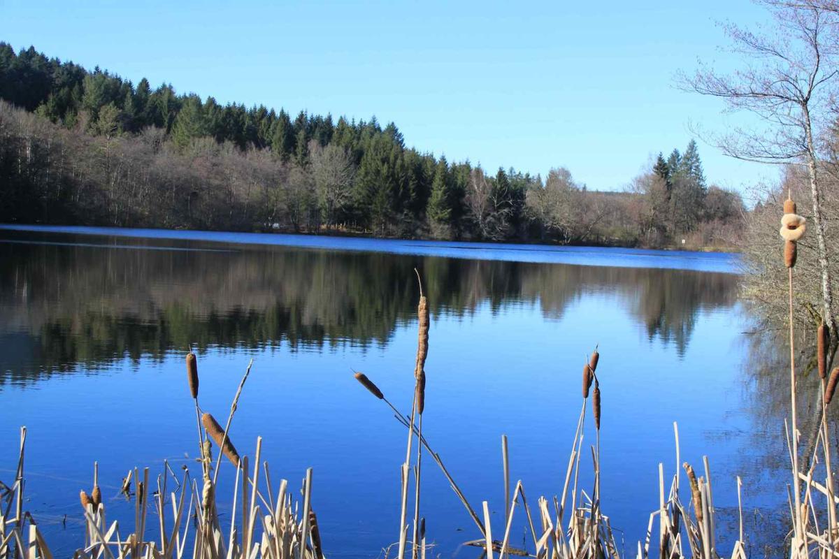 lac de Faux