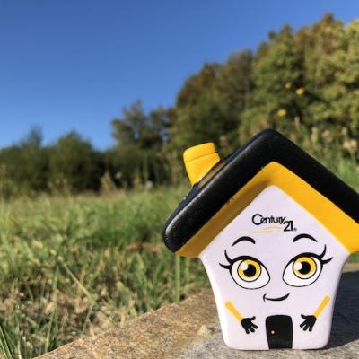 Vente maison eymoutiers